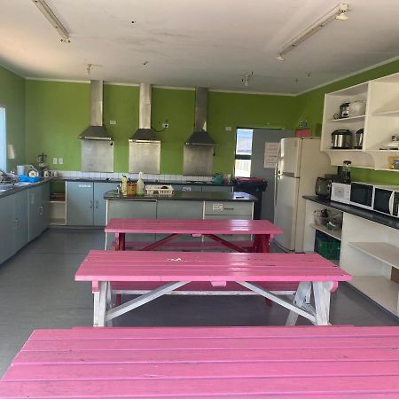 بيت شباب Peace Haven Backpackers بلينهايم المظهر الخارجي الصورة